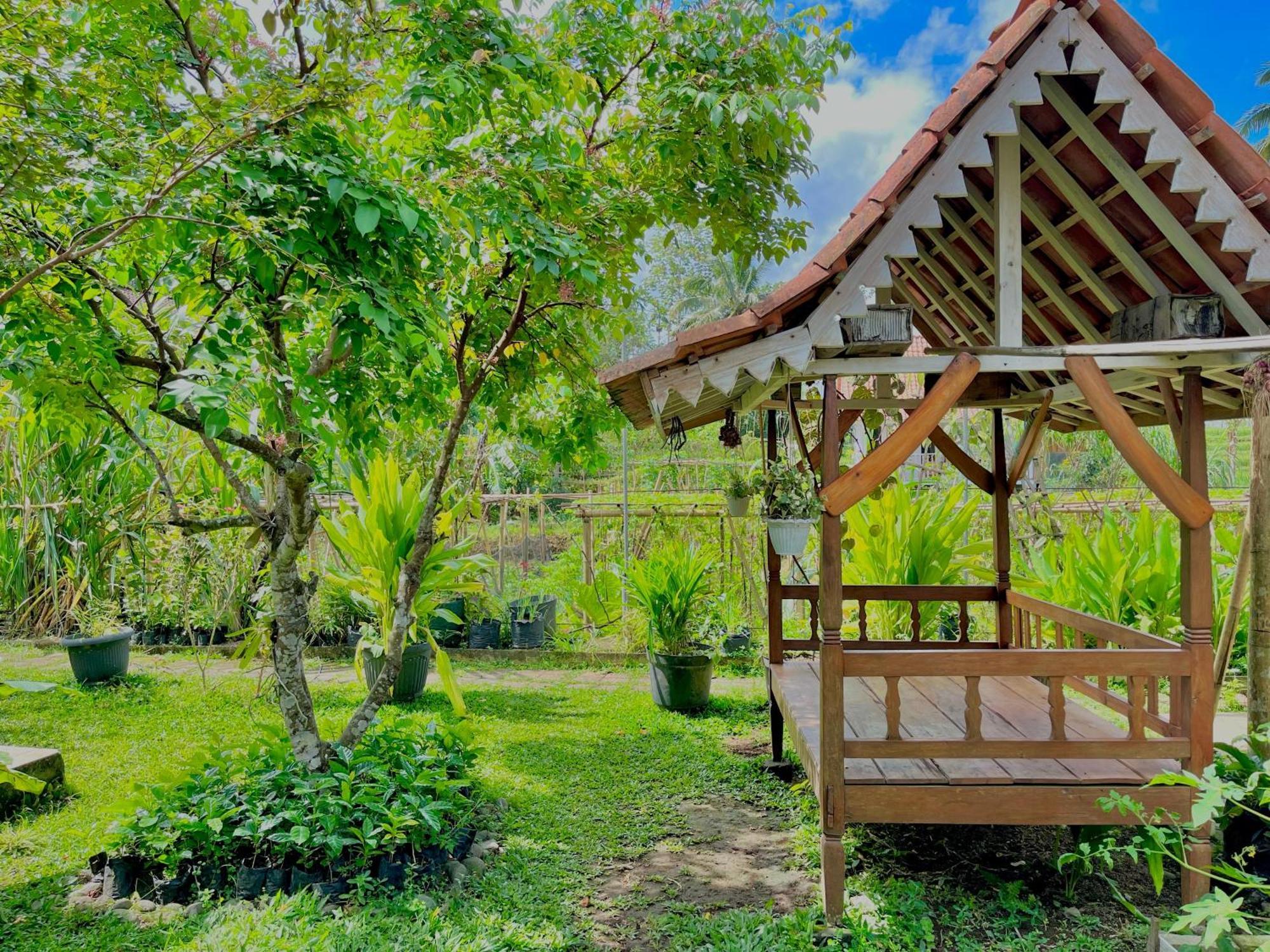Pondok Isoke Bunggalow Banyuwangi  Eksteriør bilde
